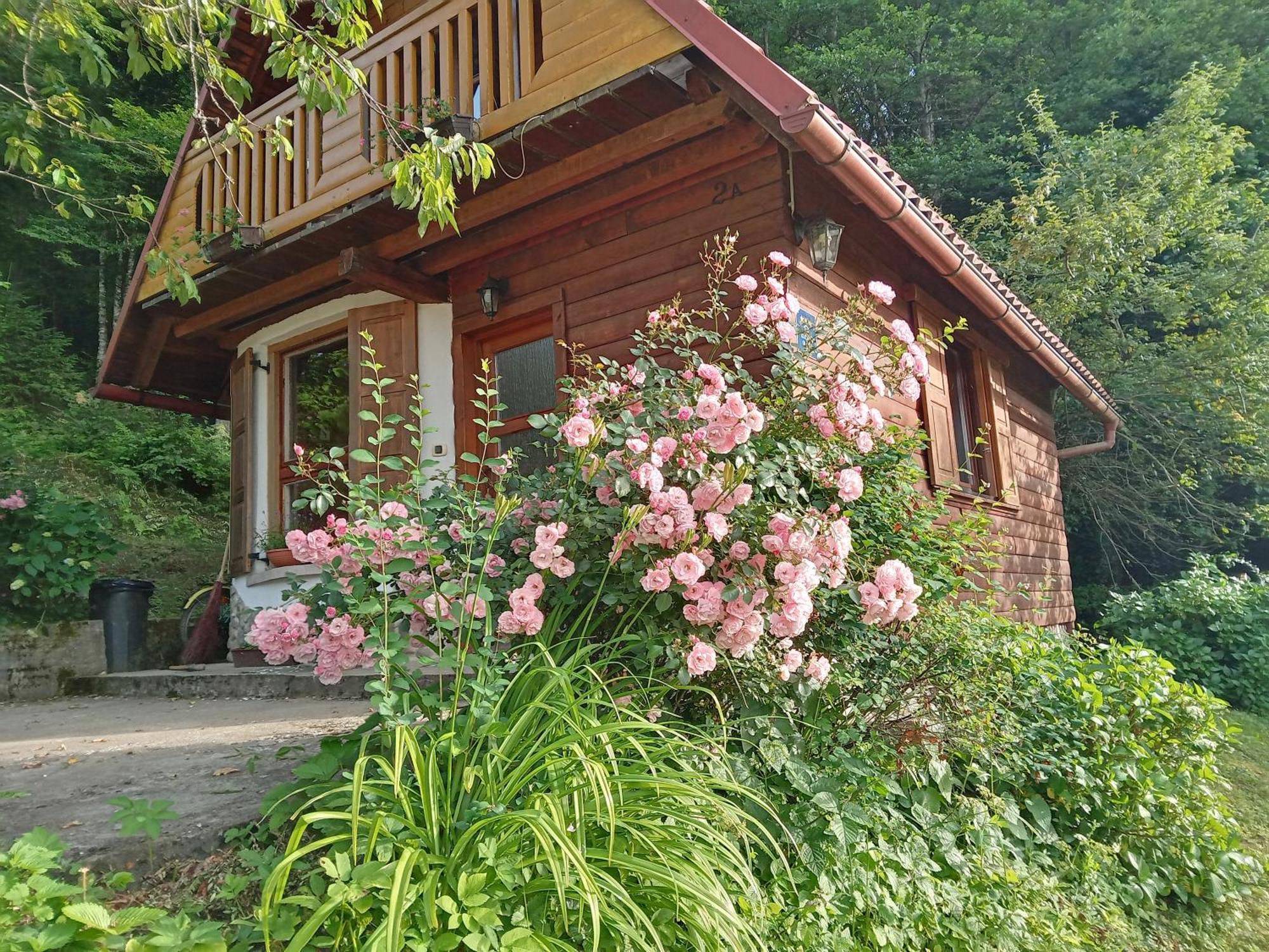 Holiday Home Vesna Brod na Kupi Exterior foto
